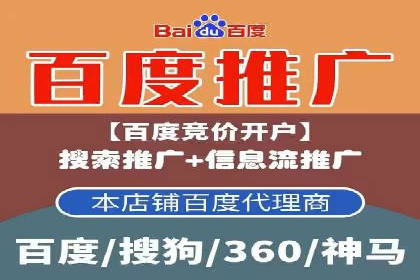 SEM代运营案例分析：精准投放策略解析